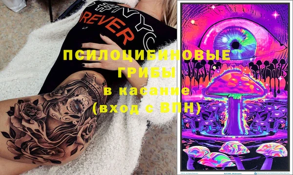 бошки Зеленокумск