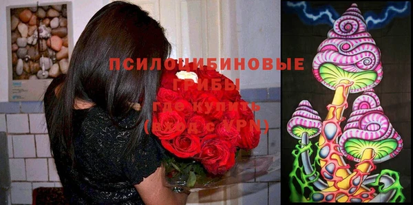 прущие крисы Зерноград