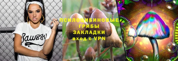 бошки Зеленокумск