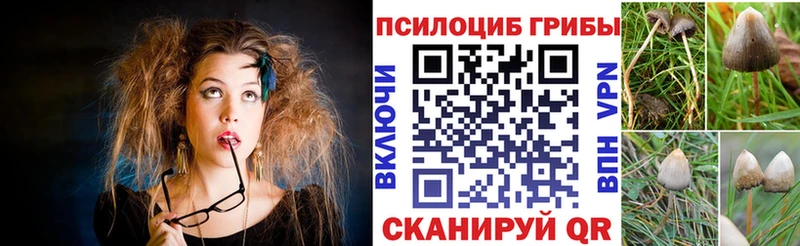 Галлюциногенные грибы ЛСД Кандалакша