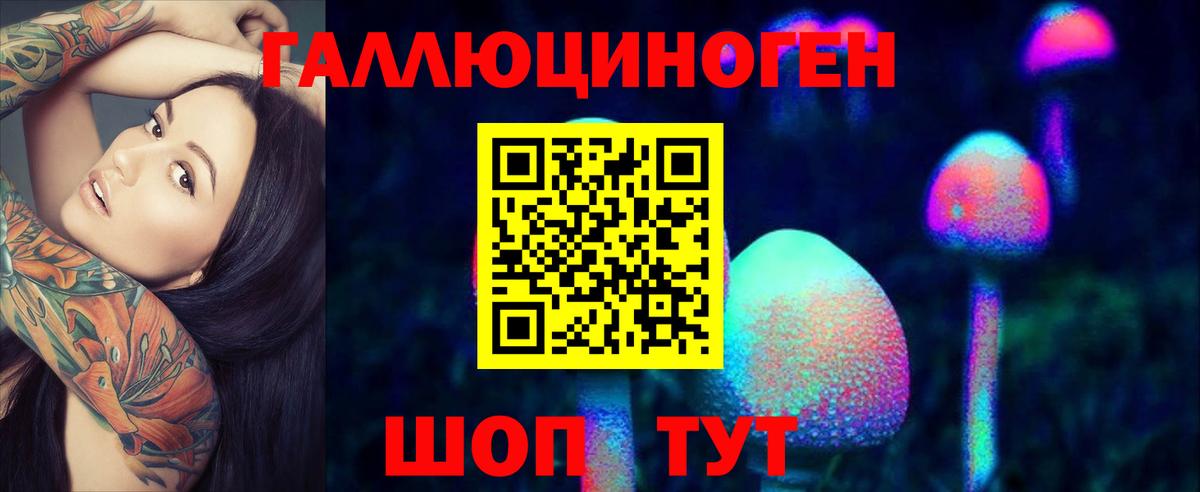 Кандалакша  Галлюциногенные грибы Psilocybe  Псилоцибиновые грибы мицелий  Вход с VPN 