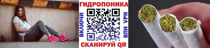 Каннабис марихуана Кандалакша